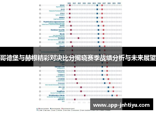 哥德堡与赫根精彩对决比分揭晓赛季战绩分析与未来展望
